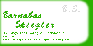 barnabas spiegler business card